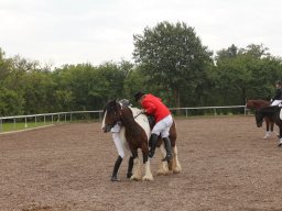 img_9546_web
